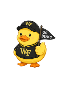 Wake Forest duck, a hand-drawn collectible character